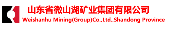 山东省雷火竞技网站（China）官方网站有限公司